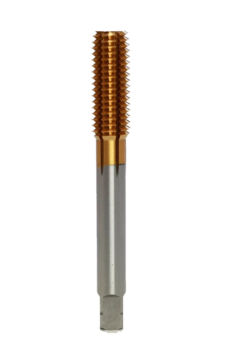 Ninja Series-9